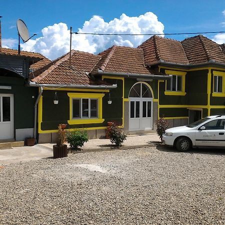 HaţegCasa Anaアパートメント エクステリア 写真