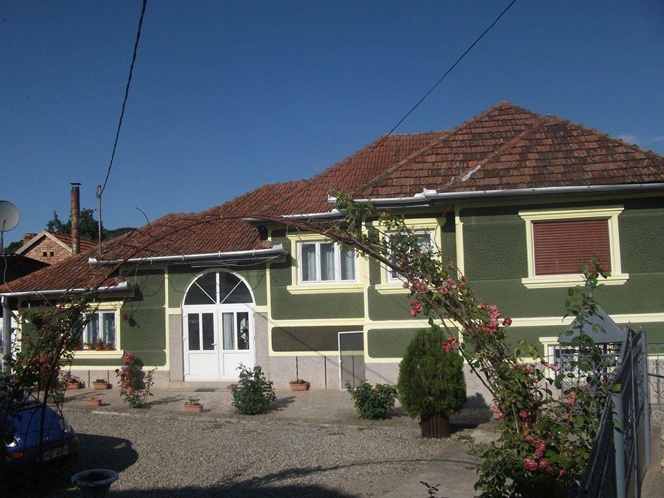HaţegCasa Anaアパートメント エクステリア 写真