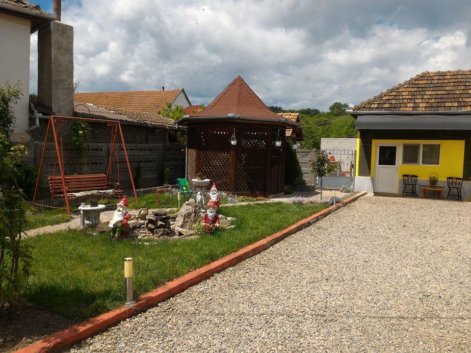 HaţegCasa Anaアパートメント エクステリア 写真