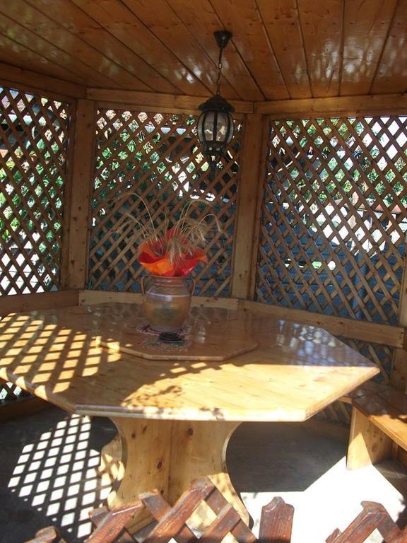 HaţegCasa Anaアパートメント エクステリア 写真