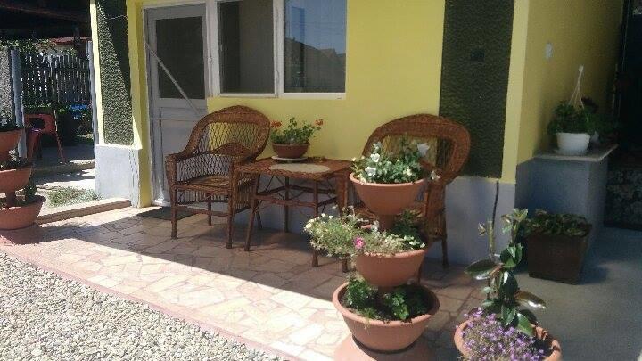 HaţegCasa Anaアパートメント エクステリア 写真