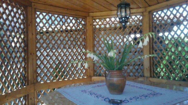 HaţegCasa Anaアパートメント エクステリア 写真