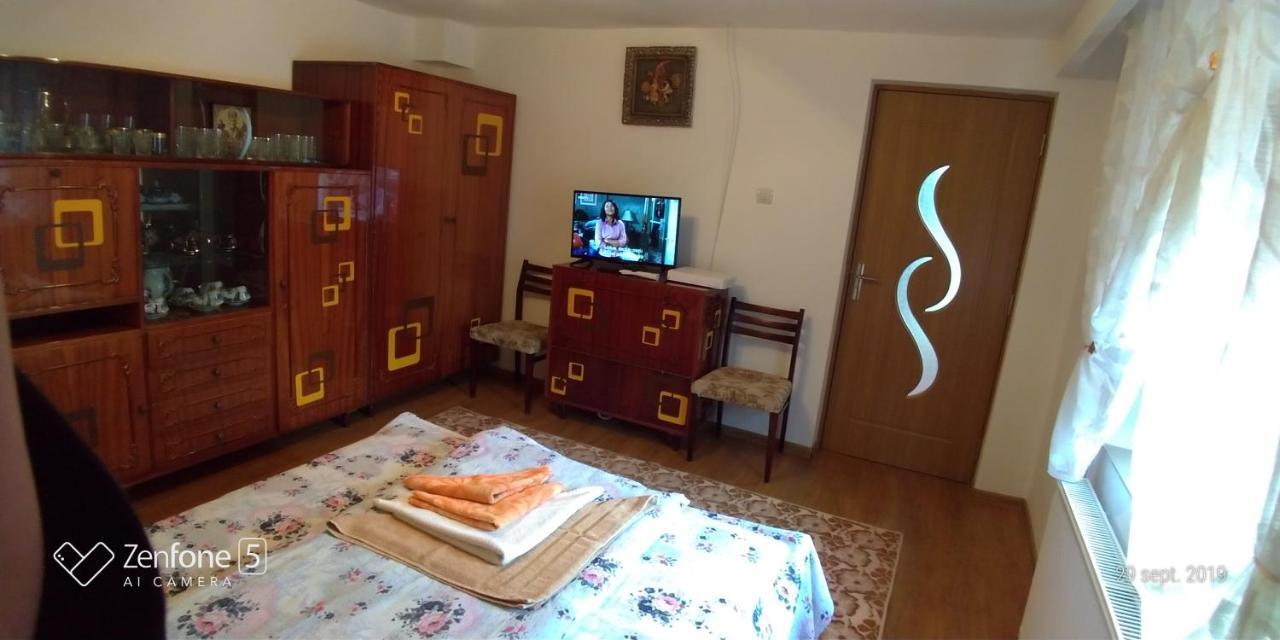 HaţegCasa Anaアパートメント エクステリア 写真