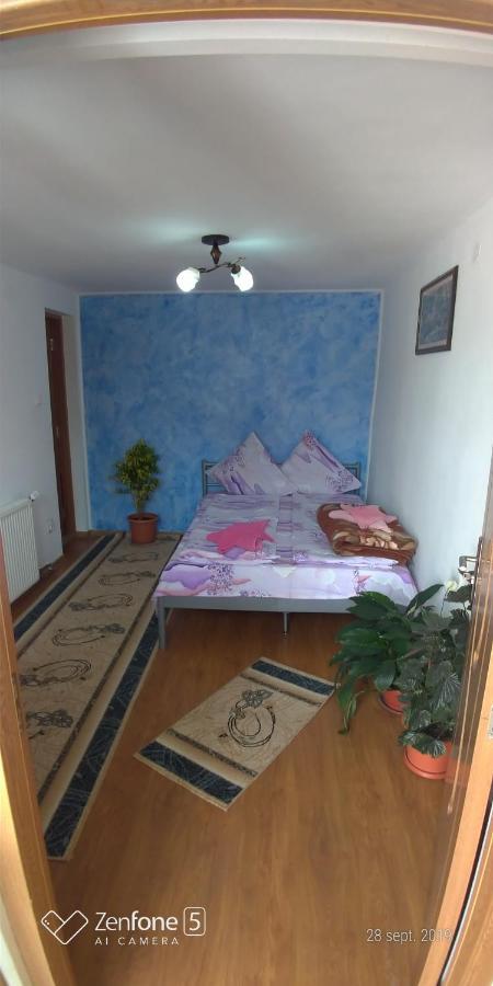 HaţegCasa Anaアパートメント エクステリア 写真