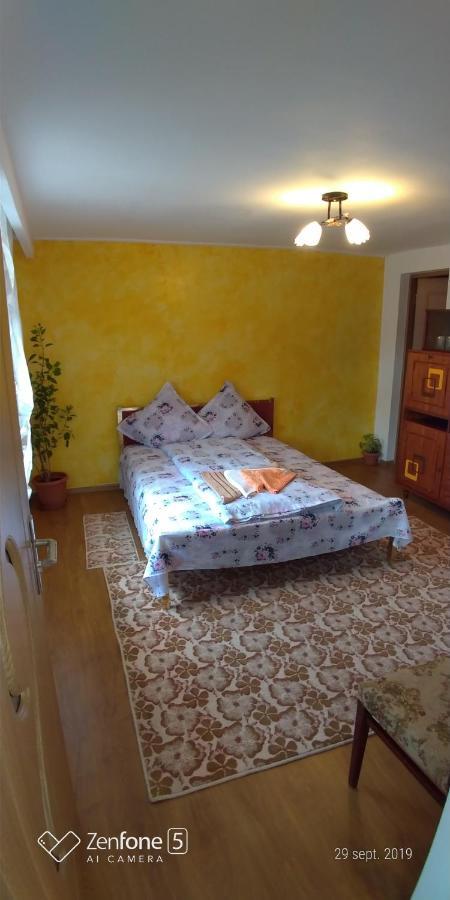 HaţegCasa Anaアパートメント エクステリア 写真