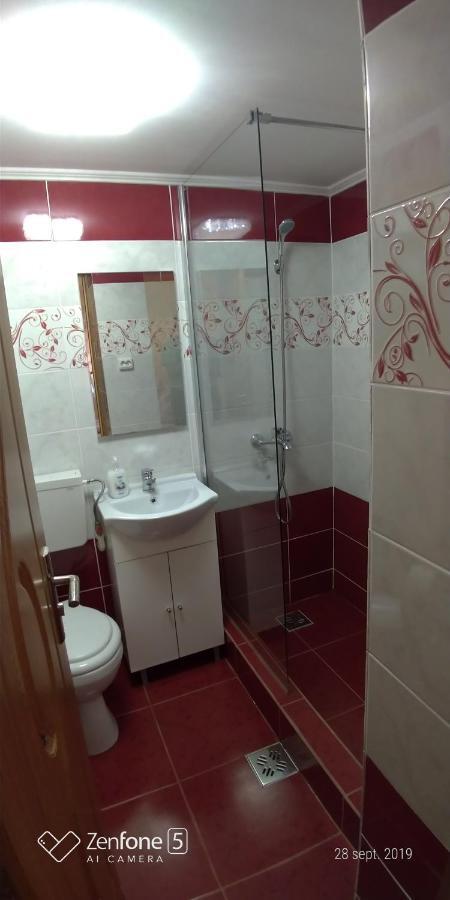 HaţegCasa Anaアパートメント エクステリア 写真