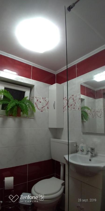 HaţegCasa Anaアパートメント エクステリア 写真