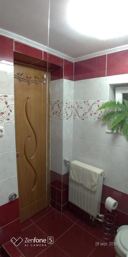 HaţegCasa Anaアパートメント エクステリア 写真